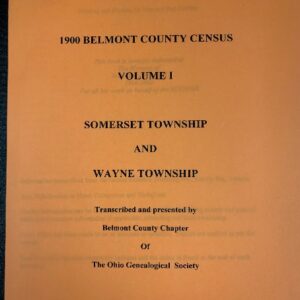 1900 Census Vol. I - Somerset & Wayne Township