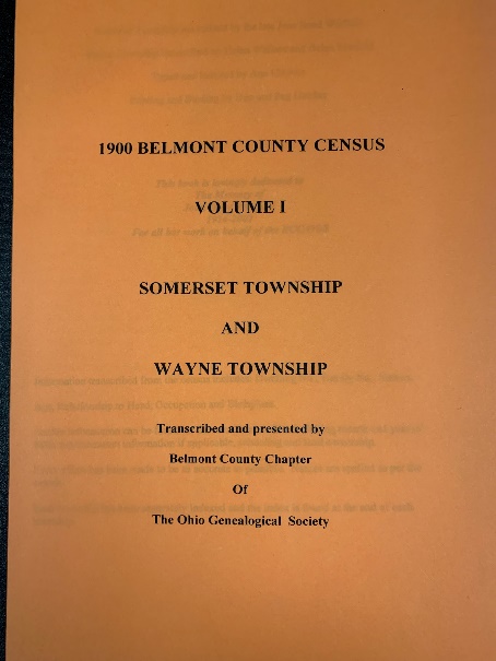 1900 Census Vol. I - Somerset & Wayne Township